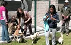 ECOLOGICAL PROJECT&nbsp;EQ-EC24, ECUADOR