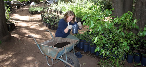 ECOLOGICAL PROJECT ABL-EC03 IN ARGENTINA