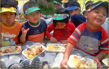 Peru Social Volunteer Projects